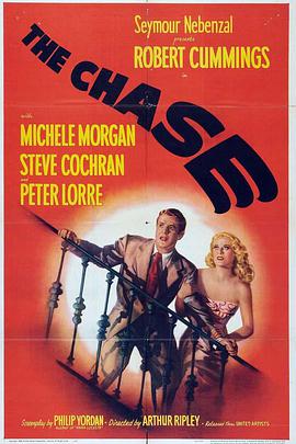 迷梦追踪 The Chase海报