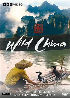 美丽中国 Wild China海报