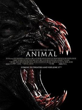 林中野兽 Animal海报