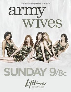 军嫂们 第一季 Army Wives Season 1海报