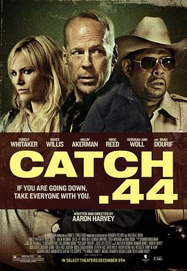 第44条军规 Catch .44海报