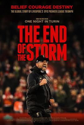 风暴尽头 The End of the Storm海报