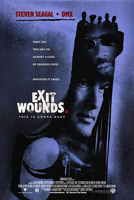 以毒攻毒 Exit Wounds海报