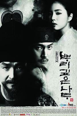 树大根深 뿌리깊은 나무海报