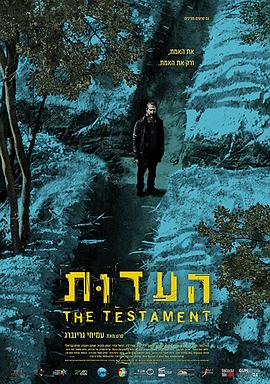 证言 The Testament海报
