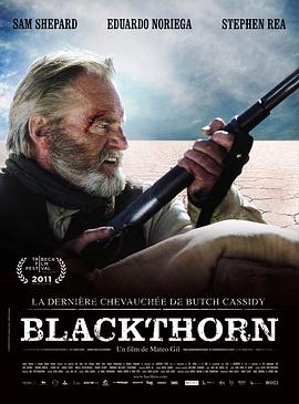 黑荆棘 Blackthorn海报