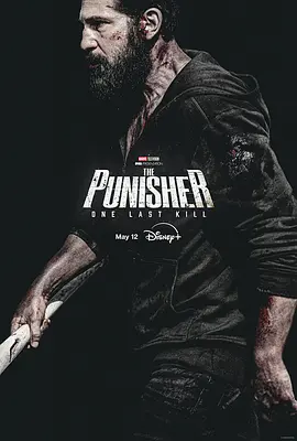 惩罚者：最后一击 The Punisher: One Last Kill海报