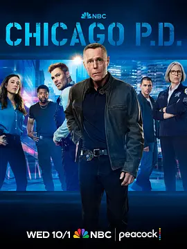 芝加哥警署 第十三季 Chicago P.D. Season 13海报