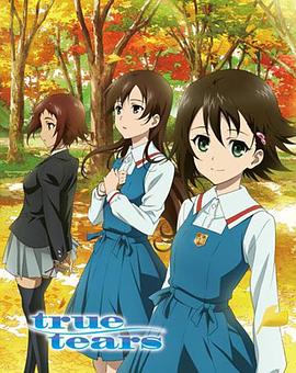 真实之泪 true tears海报