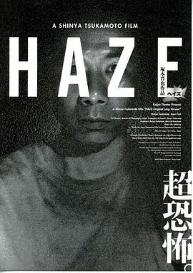 雾 Haze海报
