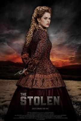被窃之物 The Stolen海报