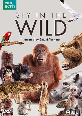 荒野间谍 第一季 Spy in the Wild Season 1海报
