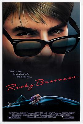 乖仔也疯狂 Risky Business海报
