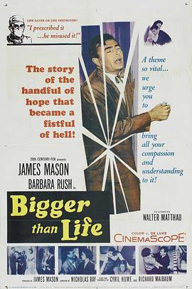 高于生活 Bigger Than Life海报