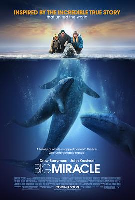 鲸奇 Big Miracle海报