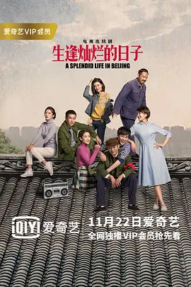 生逢灿烂的日子海报
