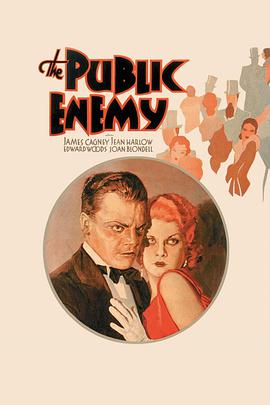 国民公敌 The Public Enemy海报