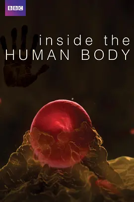 人体奥秘 Inside the Human Body海报