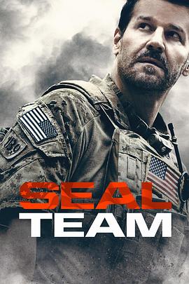海豹突击队 第二季 SEAL Team Season 2海报