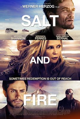 盐与火 Salt and Fire海报
