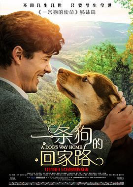 一条狗的回家路 A Dog's Way Home海报