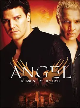 暗黑天使 第五季 Angel Season 5海报