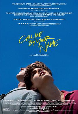 请以你的名字呼唤我 Call Me by Your Name海报