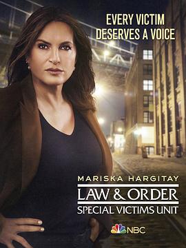 法律与秩序：特殊受害者 第二十二季 Law & Order: Special Victims Unit Season 22海报