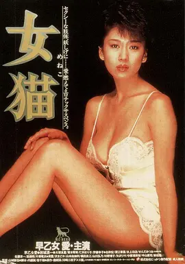 女猫海报