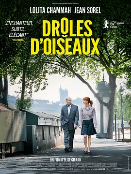 怪趣群鸟 Drôles d'oiseaux海报