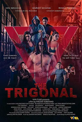 铁三角：正义之战 The Trigonal: Fight for Justice海报