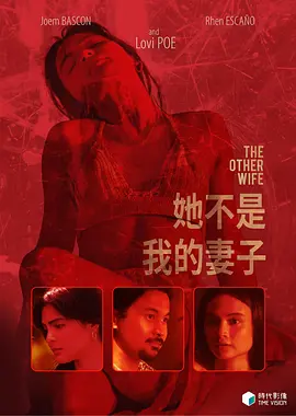 她不是我的妻子 The Other Wife海报