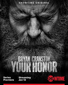 法官大人 第二季 Your Honor Season 2海报
