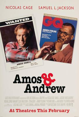 黑白追缉令 Amos & Andrew海报