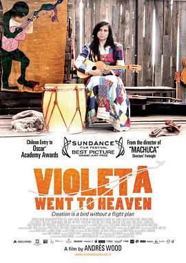 比奥莱塔去往天堂 Violeta se fue a los cielos海报