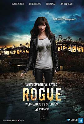 卧底情劫 第一季 Rogue Season 1海报