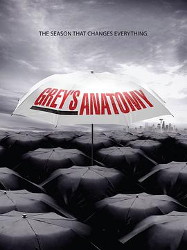 实习医生格蕾 第六季 Grey's Anatomy Season 6海报