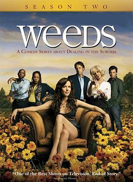 单身毒妈 第二季 Weeds Season 2海报