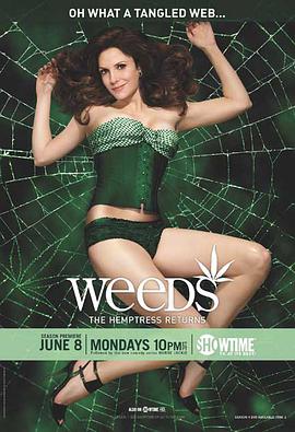单身毒妈 第五季 Weeds Season 5海报