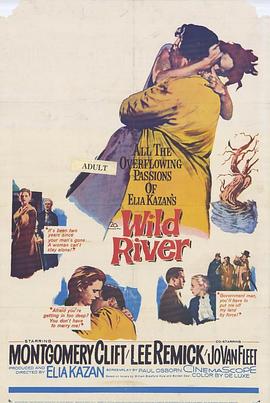 狂澜春醒 Wild River海报