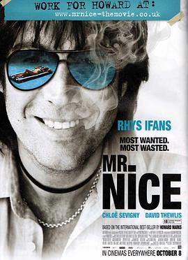 好心先生 Mr. Nice海报