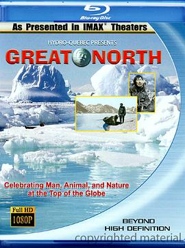 大北方 Great North海报