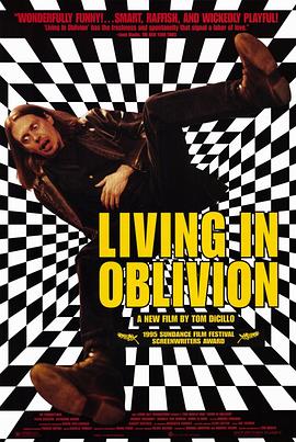 开麦拉狂想曲 Living in Oblivion海报
