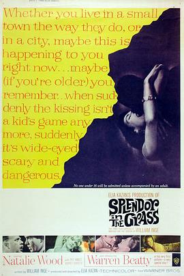 天涯何处觅知音 Splendor in the Grass海报