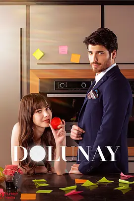满月 Dolunay海报