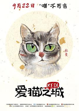 爱猫之城 Kedi海报