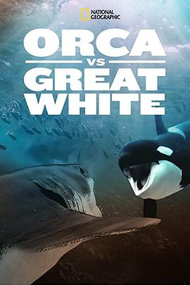 虎鲸对上大白鲨 Orca vs. Great White海报