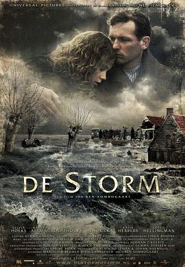 暴风雨 De storm海报