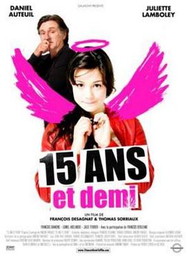 十五年之后 15 ans et demi海报