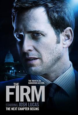 糖衣陷阱 The Firm海报